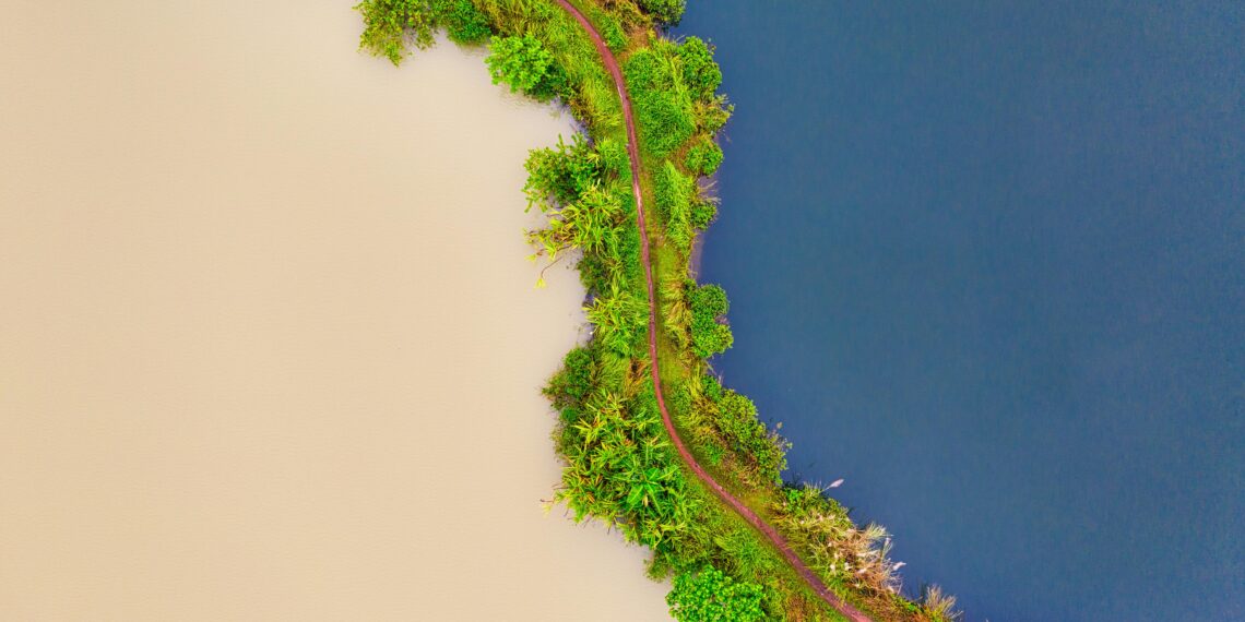 Exploring the Contrasts: India vs. Indonesia